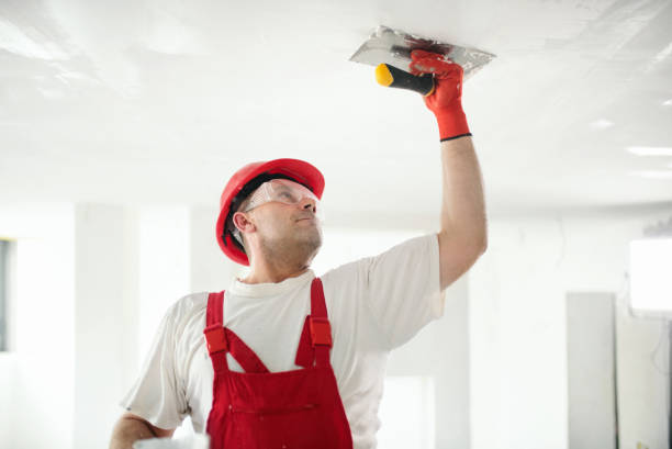 Best Drywall for Remodeling  in USA